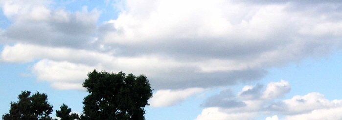 Image_7